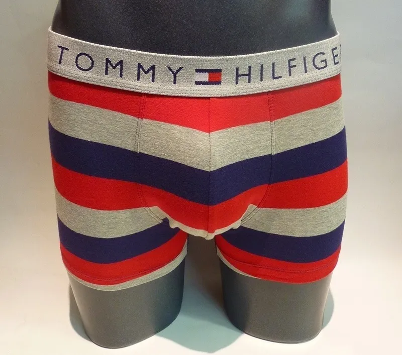 Boxer Damon Trunk