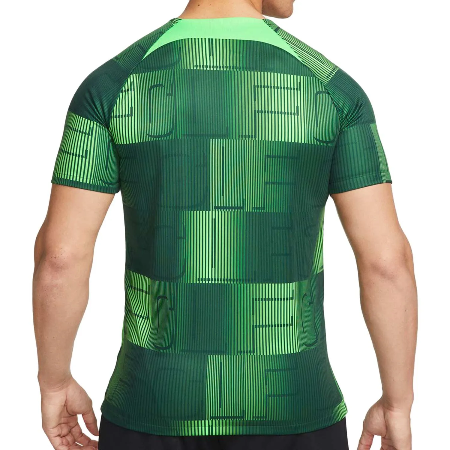 CAMISETA NIKE LIVERPOOL PREMATCH DRIFIT ACADEMY PRO