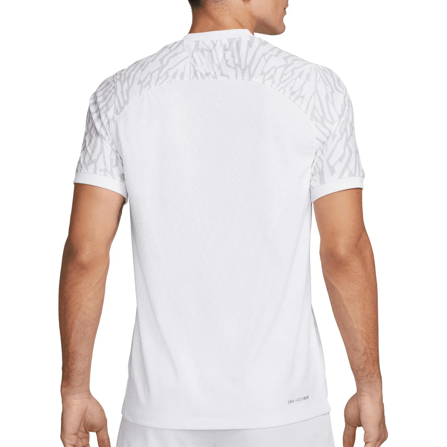 CAMISETA NIKE POLONIA 2022 2023 DRIFIT ADV MATCH
