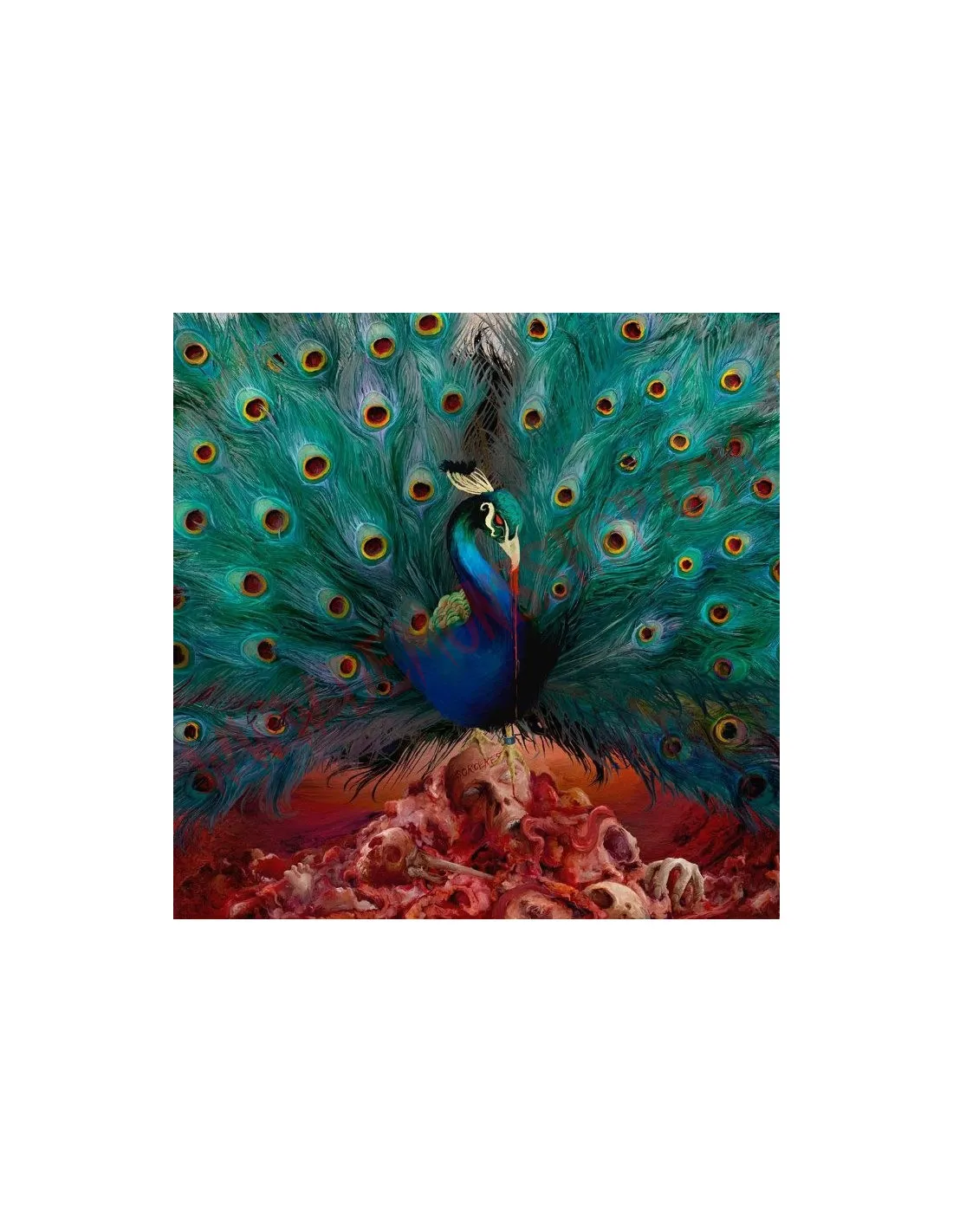 CD OPETH  SORCERESS
