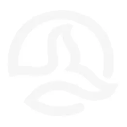 PANTALON ROTAR PT W