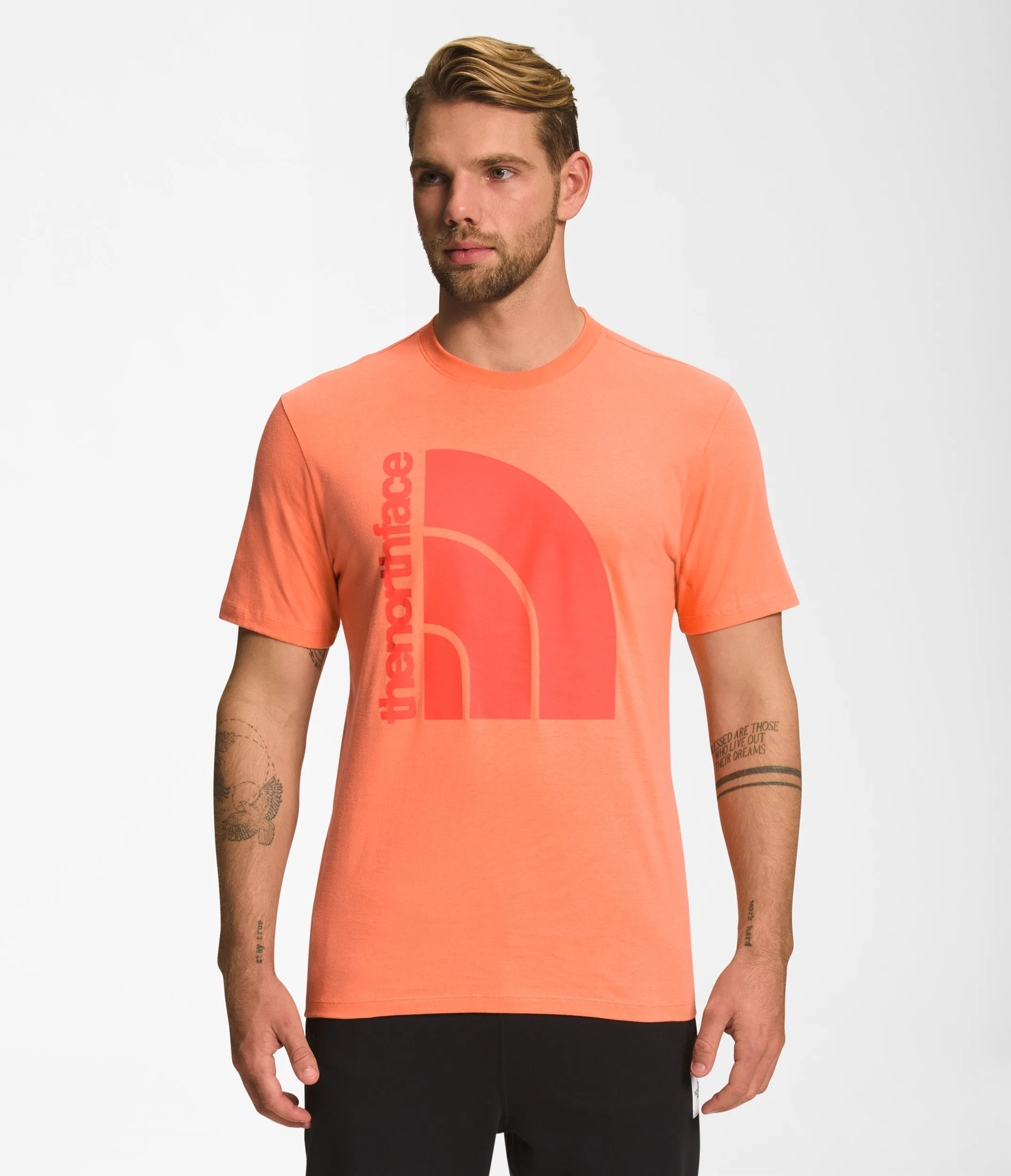 Polera Manga Corta Jumbo Half Dome Hombre